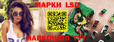Альфа ПВП Кандалакша