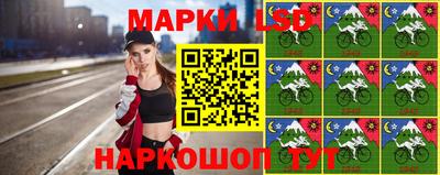 Альфа ПВП Кандалакша
