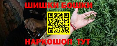 Альфа ПВП Кандалакша
