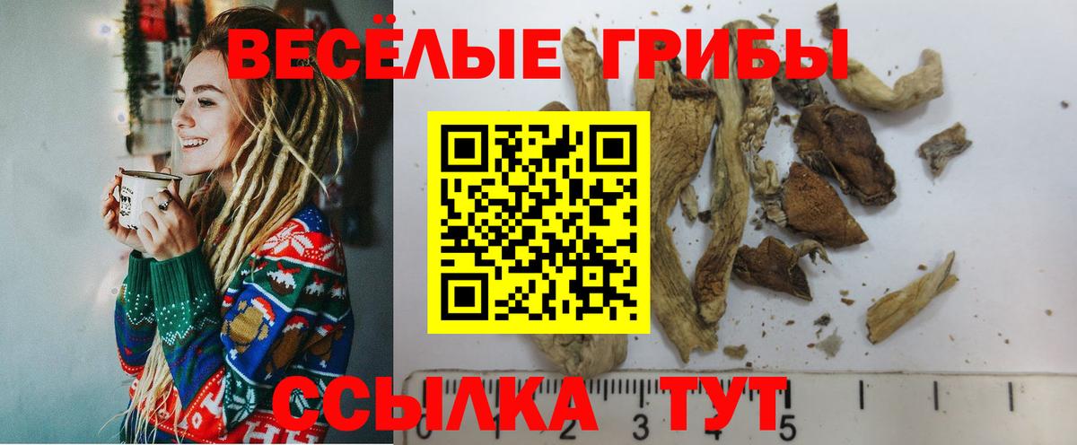 Галлюциногенные грибы мицелий  закладка  Красный Сулин  Вход с VPN  Галлюциногенные грибы Magic Shrooms 